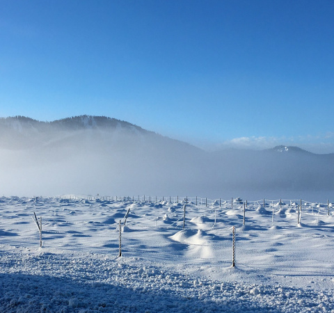 Seven New Year’s Resolutions that Benefit the Planet and Other People – and Your Wallet, Too – Our Next Life by Tanja Hester, author of Work Optional and Wallet Activism Seven New Year’s Resolutions that Benefit the Planet and Other People – and Your Wallet, Too – Our Next Life by Tanja Hester, author of Work Optional and Wallet Activism