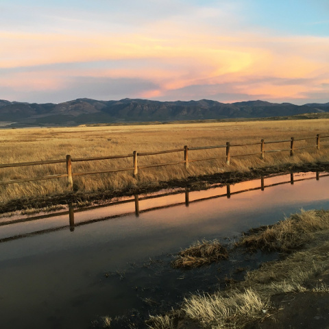 Supply Chain Issues Provide the Perfect Excuse to Change Your Holiday Gift-Giving – Our Next Life by Tanja Hester, author of Work Optional and Wallet Activism