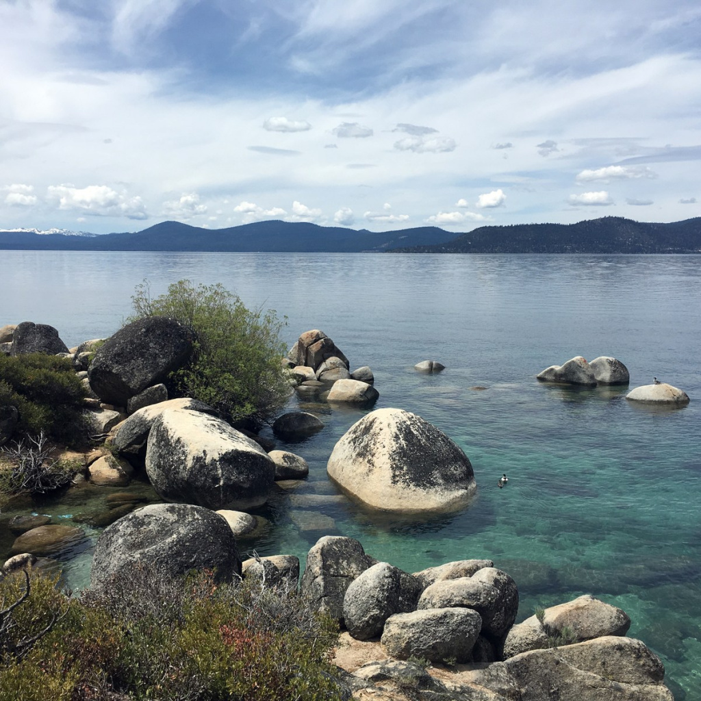 It’s Time to Retire FIRE (and to Split It Up) – Our Next Life by Tanja Hester, author of Work Optional and Wallet Activism It’s Time to Retire FIRE (and to Split It Up) – Our Next Life by Tanja Hester, author of Work Optional and Wallet Activism