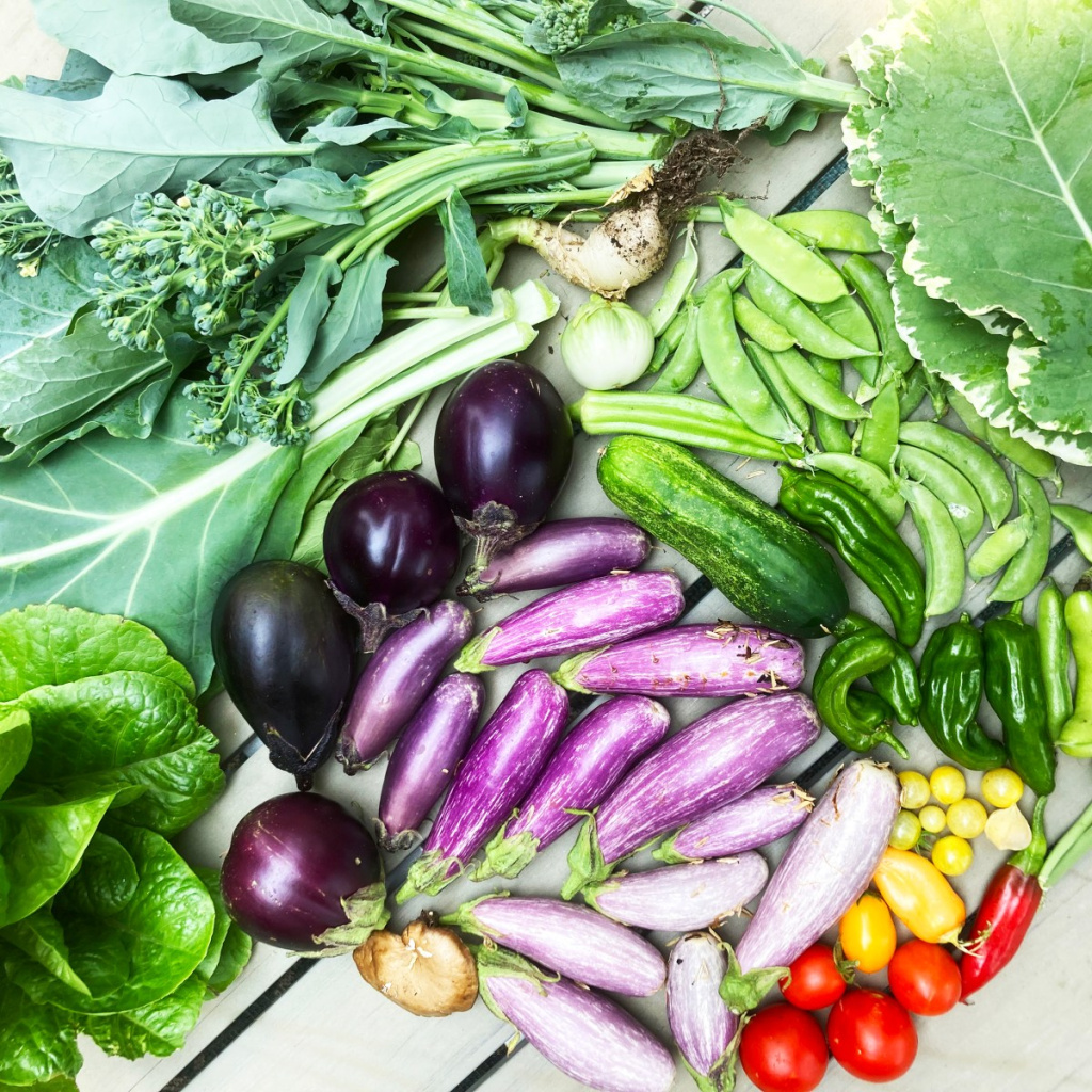 We Think About Risk All Wrong // How Riding a Bike Almost Ruined Everything – Our Next Life by Tanja Hester, author of Work Optional and Wallet Activism We Think About Risk All Wrong // How Riding a Bike Almost Ruined Everything – Our Next Life by Tanja Hester, author of Work Optional and Wallet Activism